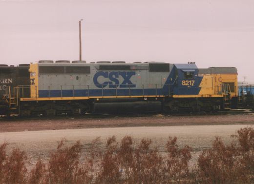 Side view of a CSX Transportation locomotive, number 8217, in a yard with dry brush in the foreground and another locomotive partially visible behind it.