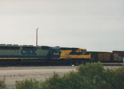 A side view of a grey, blue, and yellow CSX diesel locomotive numbered 8026, moving through a railyard with freight cars behind it, under an overcast sky with green bushes in the foreground.