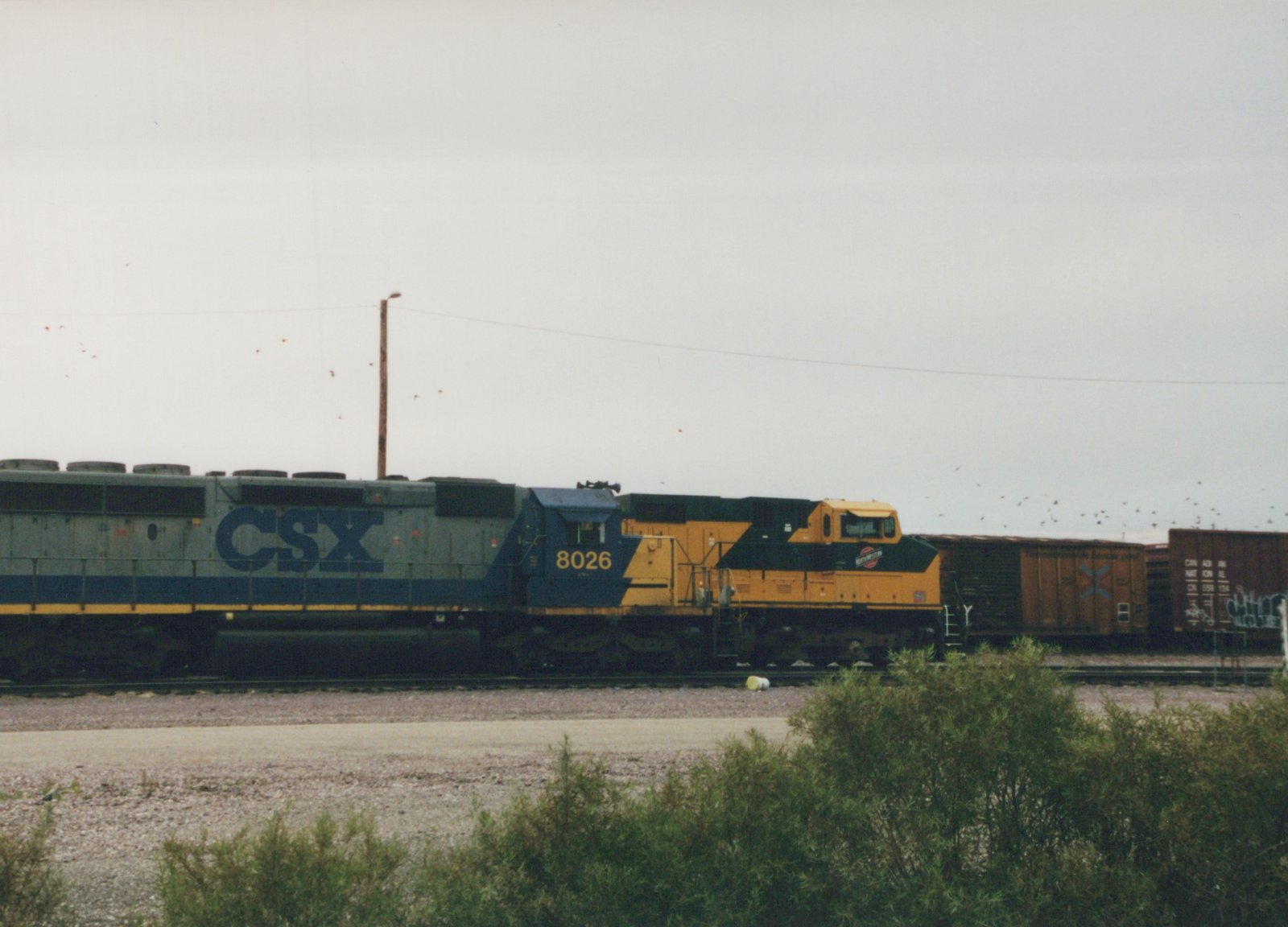 A side view of a grey, blue, and yellow CSX diesel locomotive numbered 8026, moving through a railyard with freight cars behind it, under an overcast sky with green bushes in the foreground.