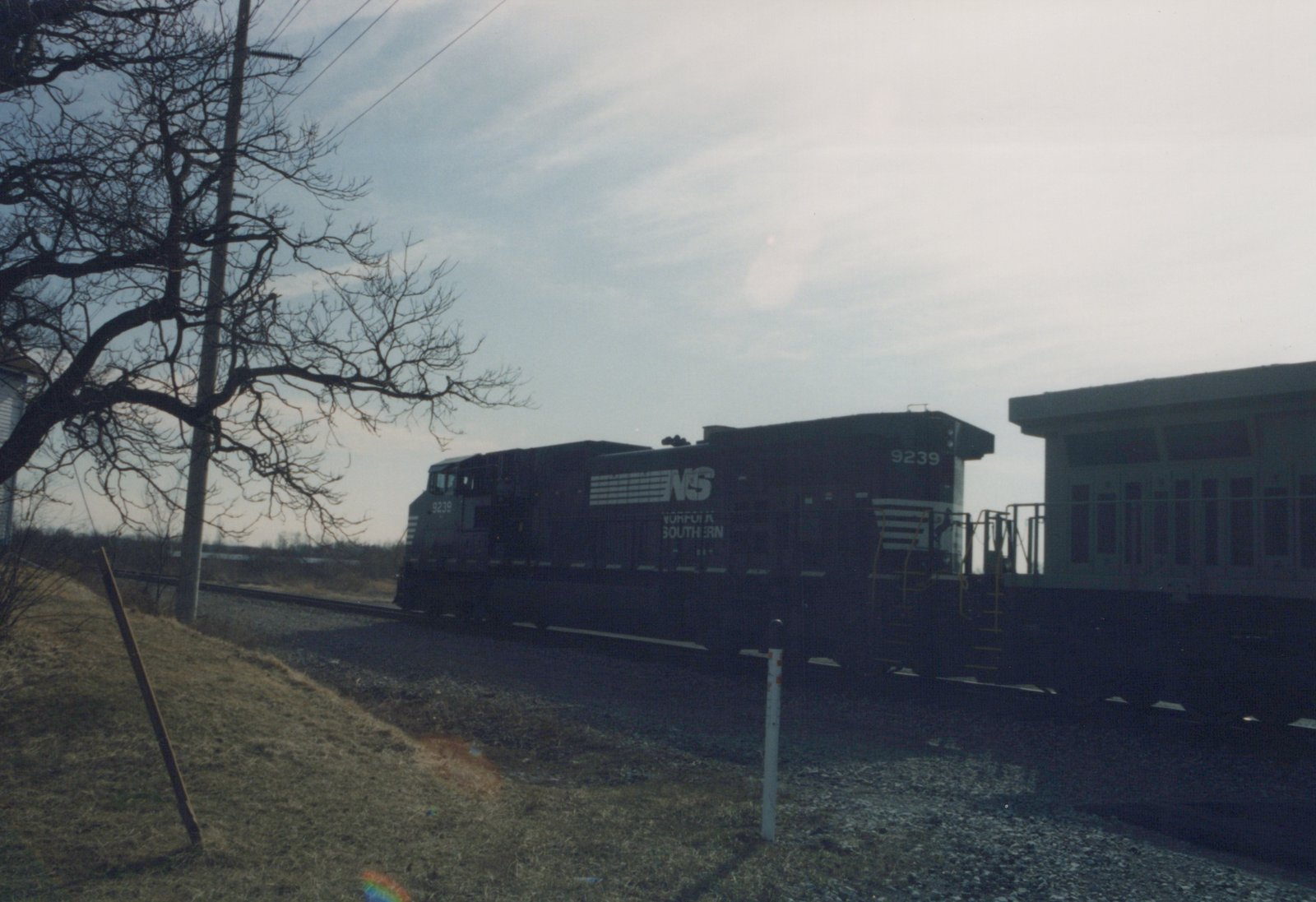 A black Norfolk Southern locomotive, number 9239, is traveling on a railroad track beside a bare tree and a grassy embankment under an overcast sky.