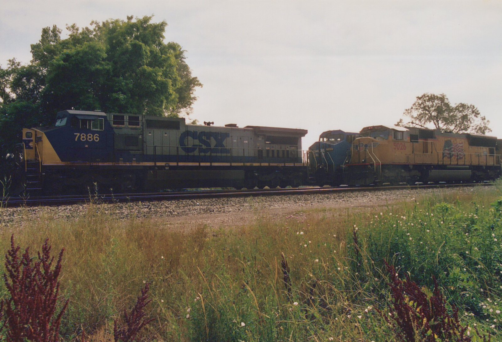 Two diesel locomotives, one from CSX and one from Union Pacific, are on parallel railroad tracks next to a field of tall grass and wildflowers.