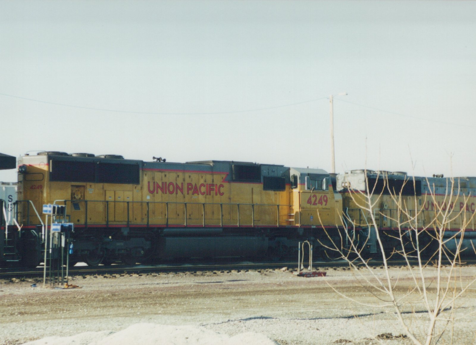 Side view of two yellow Union Pacific diesel locomotives, with number 4249 visible on the lead unit, parked in a gravel rail yard with bare trees and snow patches.