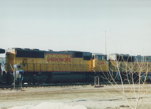 Side view of two yellow Union Pacific diesel locomotives, with number 4249 visible on the lead unit, parked in a gravel rail yard with bare trees and snow patches.
