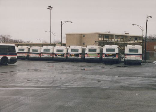 Several white and blue CTA buses are parked in a line in a wet lot, with apartment buildings and streetlights in the background under a grey sky.