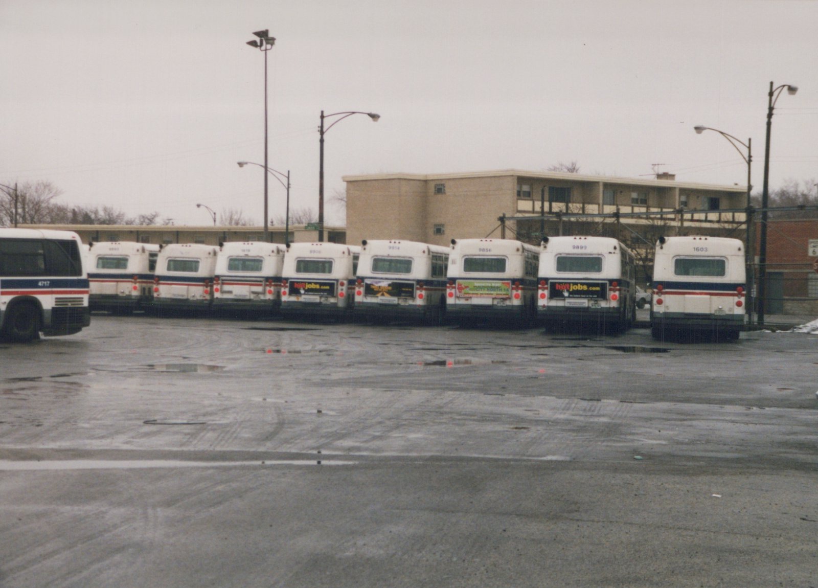 Several white and blue CTA buses are parked in a line in a wet lot, with apartment buildings and streetlights in the background under a grey sky.