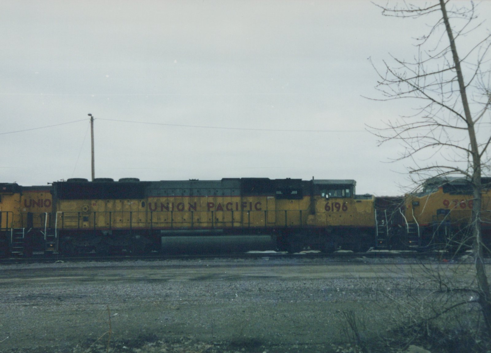 A side view of two yellow and black Union Pacific diesel locomotives, numbered 6196 and 9766, parked in a gravel yard with bare tree branches in the foreground and a cloudy sky.