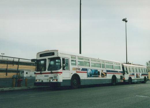 Two white Chicago Transit Authority buses with red and blue stripes are parked side by side on a street, with one displaying the destination 'Elston Bryn Maw' and the number 9908 on its front.