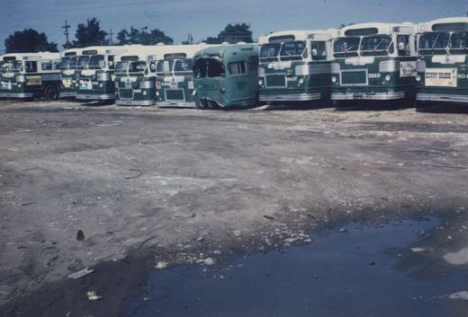 Multiple green and white Chicago Transit Authority buses, including a damaged one, are parked in a row in a gravel lot with trees and a Texaco sign in the background.