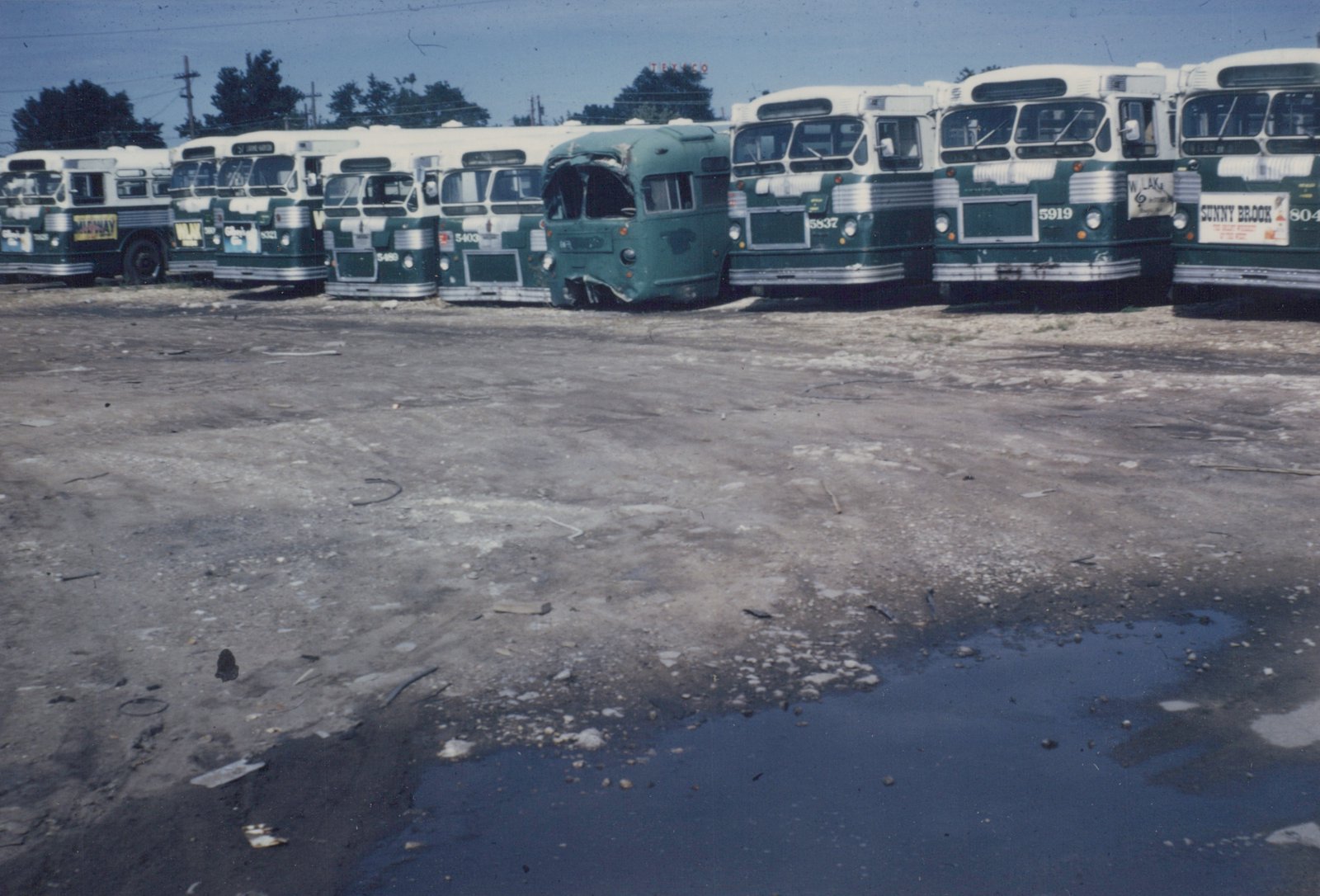 Multiple green and white Chicago Transit Authority buses, including a damaged one, are parked in a row in a gravel lot with trees and a Texaco sign in the background.