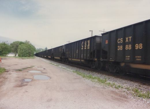 A row of dark CSX freight cars on railroad tracks next to a dirt road with puddles and green trees in the background under an overcast sky.