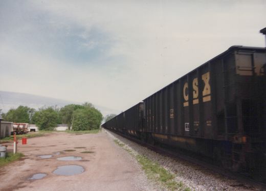 A long train of black CSX freight cars on a gravel track beside a muddy dirt road with puddles, under an overcast sky with green trees in the background.
