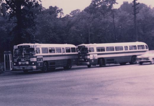 Two vintage white and dark-striped buses with large windows, one showing the number 1756, on a paved street with trees and a blurred moving car in the background.