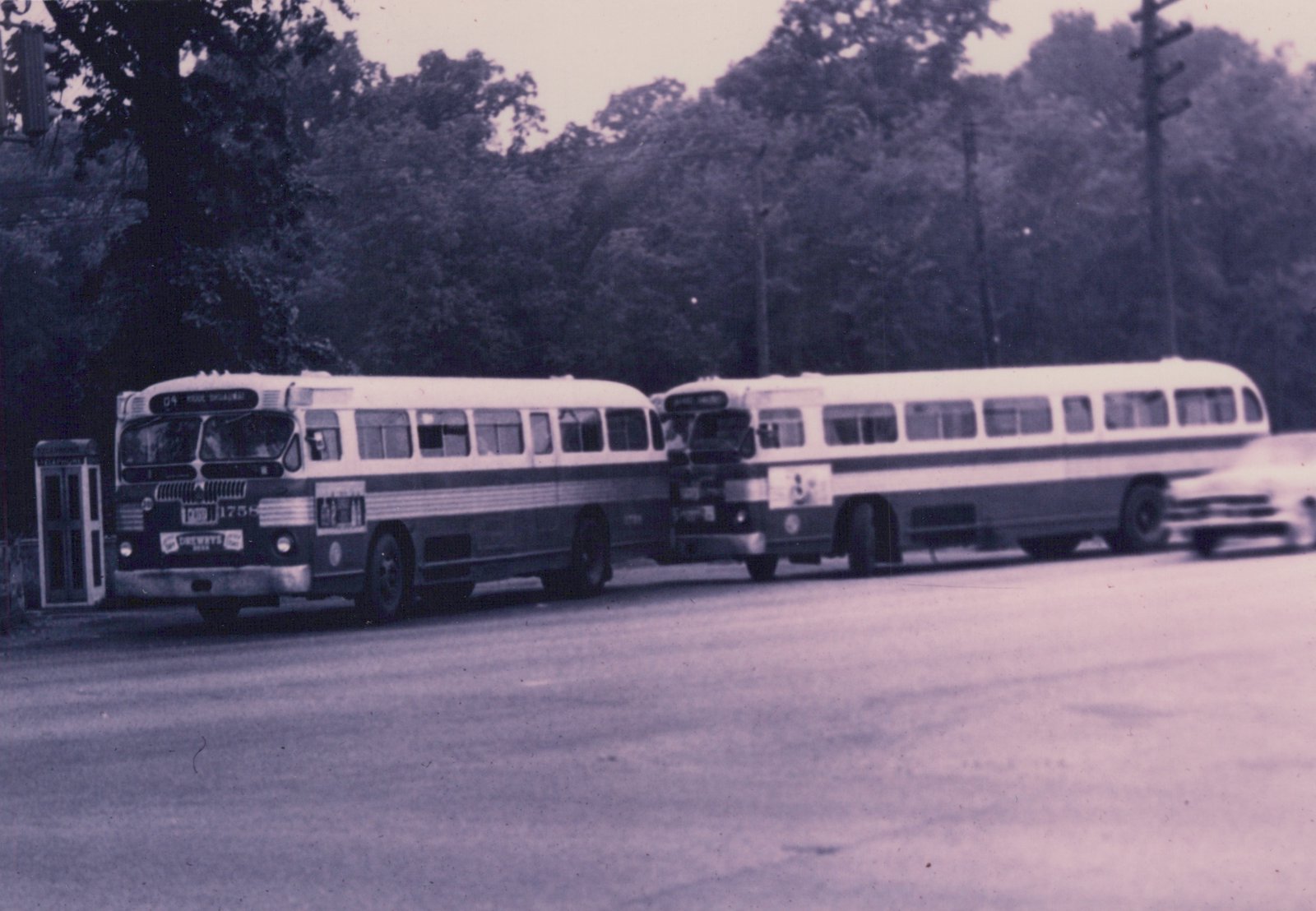 Two vintage white and dark-striped buses with large windows, one showing the number 1756, on a paved street with trees and a blurred moving car in the background.