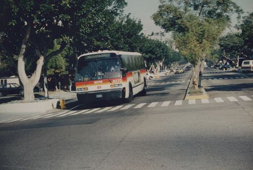 A white and orange GMC bus with the number 8270 on the front, driving down a tree-lined street with a destination sign reading '40 SOUTH BAY'.