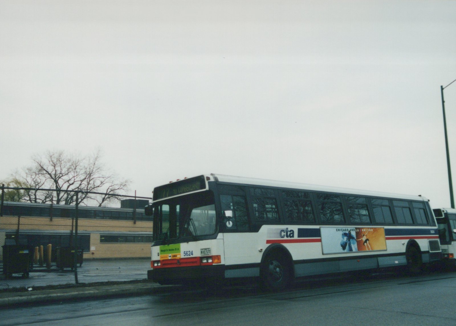 A side-front view of a white Chicago Transit Authority bus with blue and red stripes, fleet number 5624, displaying route 77 to Cumberland on its sign, parked on a wet street under an overcast sky.