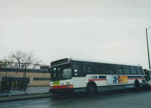 A side-front view of a white Chicago Transit Authority bus with blue and red stripes, fleet number 5624, displaying route 77 to Cumberland on its sign, parked on a wet street under an overcast sky.