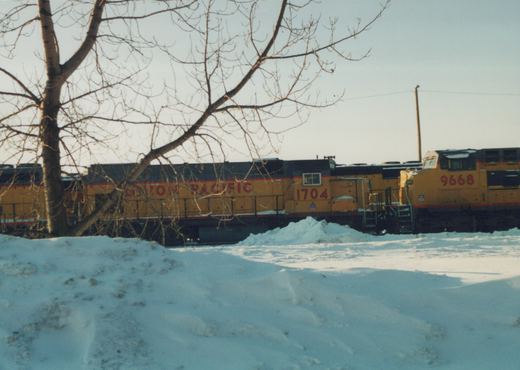 Two yellow Union Pacific diesel locomotives, numbered 1704 and 9668, are parked side by side in a snowy yard with bare trees in the foreground.
