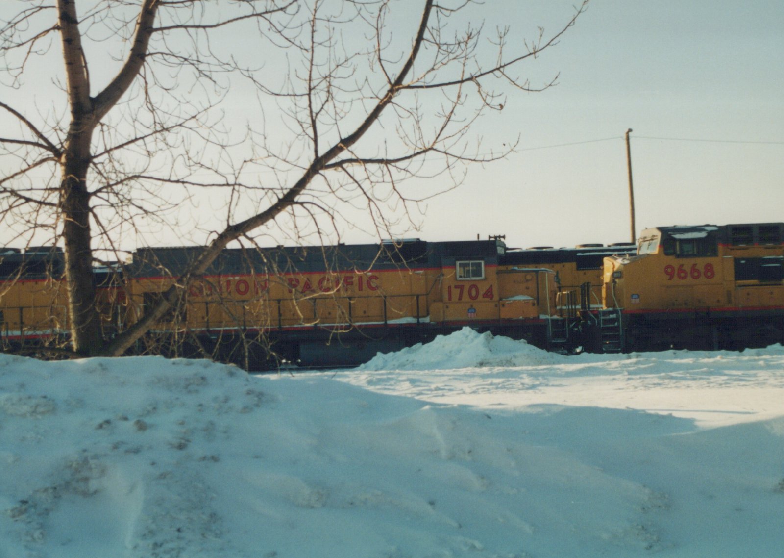 Two yellow Union Pacific diesel locomotives, numbered 1704 and 9668, are parked side by side in a snowy yard with bare trees in the foreground.