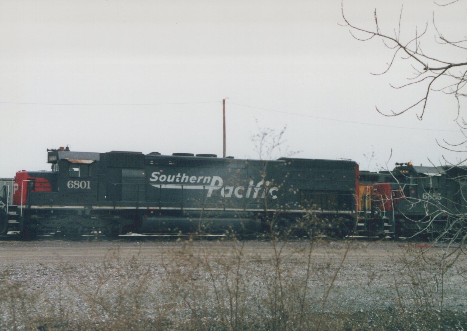 Side view of two Southern Pacific GP38-2 diesel locomotives, numbers 6801 and 6885, parked on a gravel yard with bare trees in the foreground under an overcast sky.