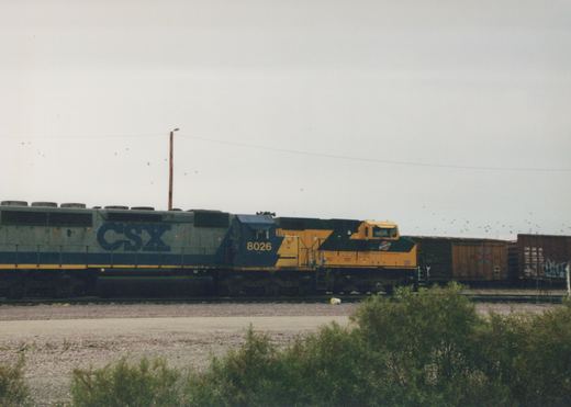 A blue and yellow CSX locomotive numbered 8026 is shown in profile, hauling freight cars on railroad tracks near some bushes.