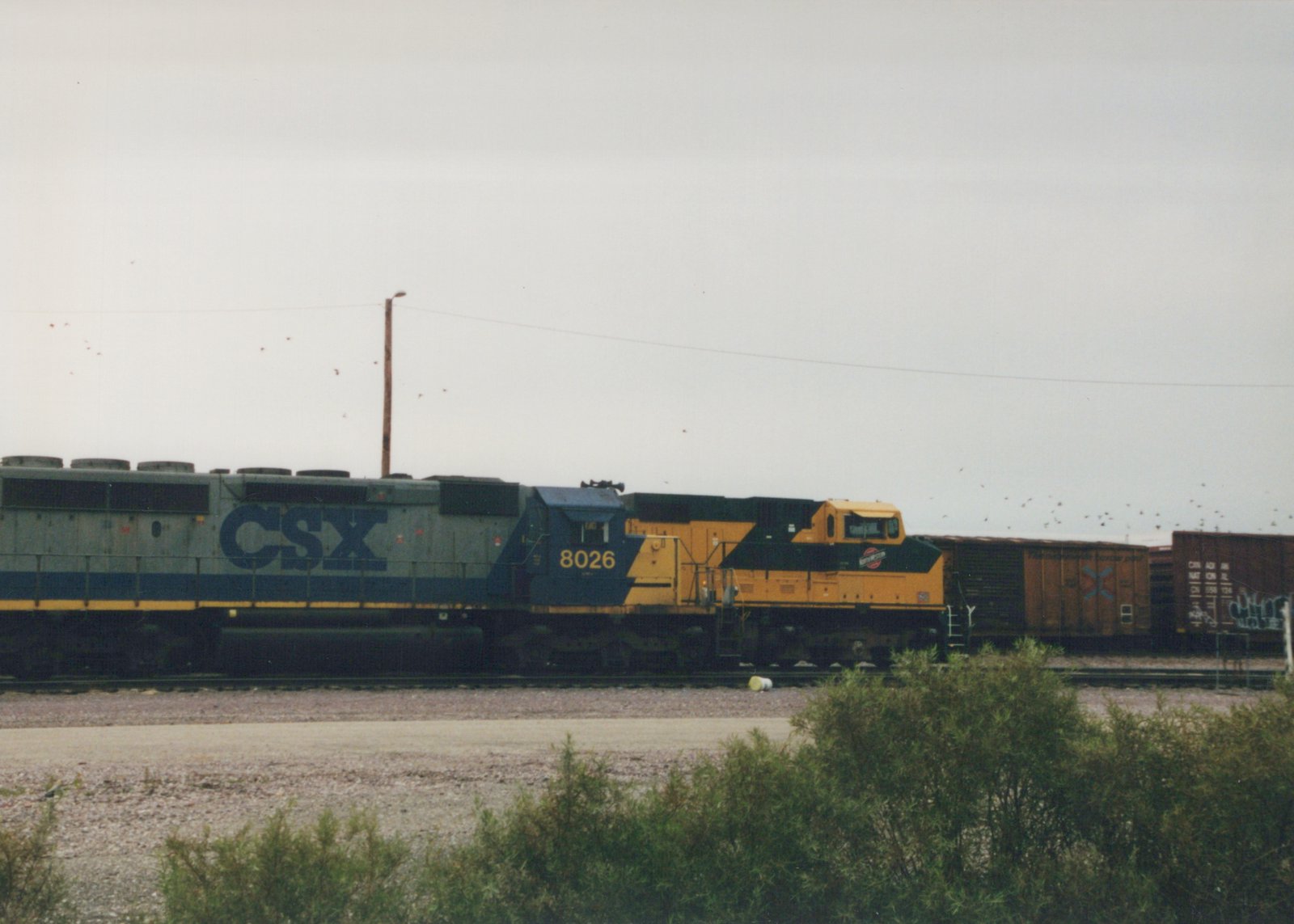A blue and yellow CSX locomotive numbered 8026 is shown in profile, hauling freight cars on railroad tracks near some bushes.