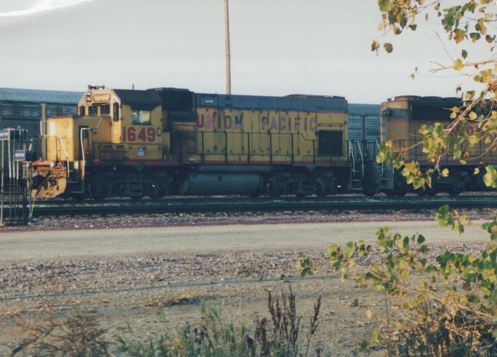 Two yellow Union Pacific diesel locomotives, numbers 1649 and 3694, stand on tracks in a yard with autumn leaves in the foreground.