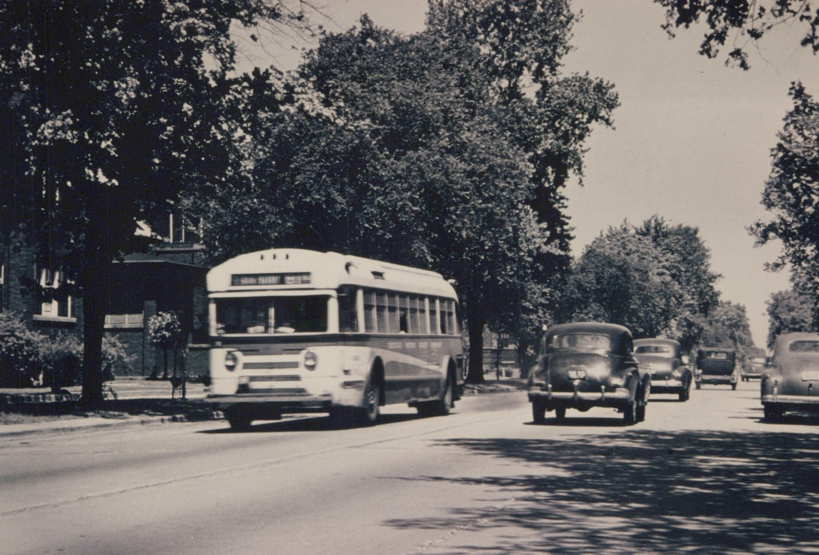 A black and white photograph of a 1940s-era Chicago Surface Lines bus driving down a tree-lined street, viewed from a three-quarter front angle, with several vintage cars behind it.