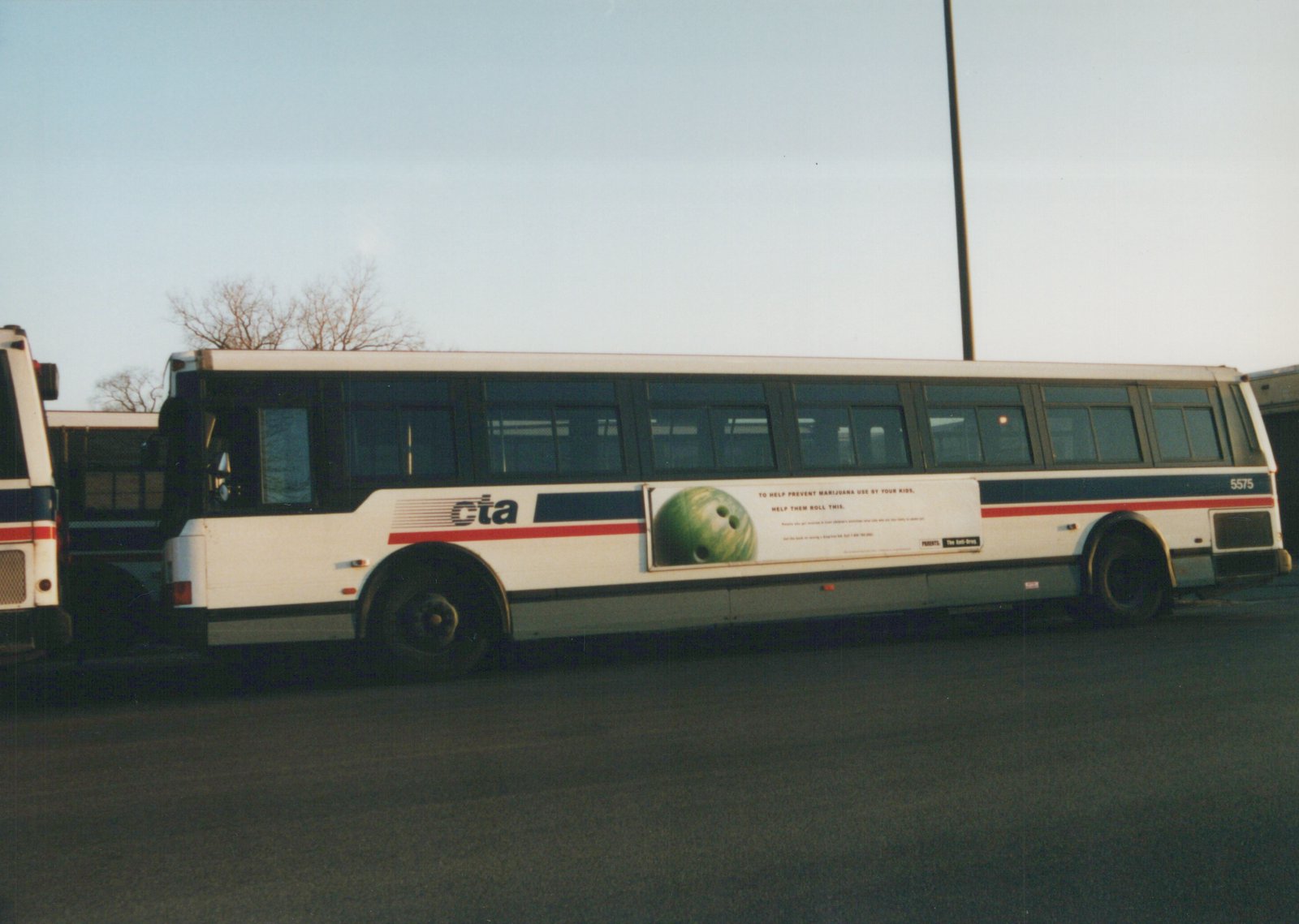 Side view of a white CTA bus with blue and red stripes, number 5575, showing an anti-drug ad with a bowling ball, parked in a lot with bare trees in the background.