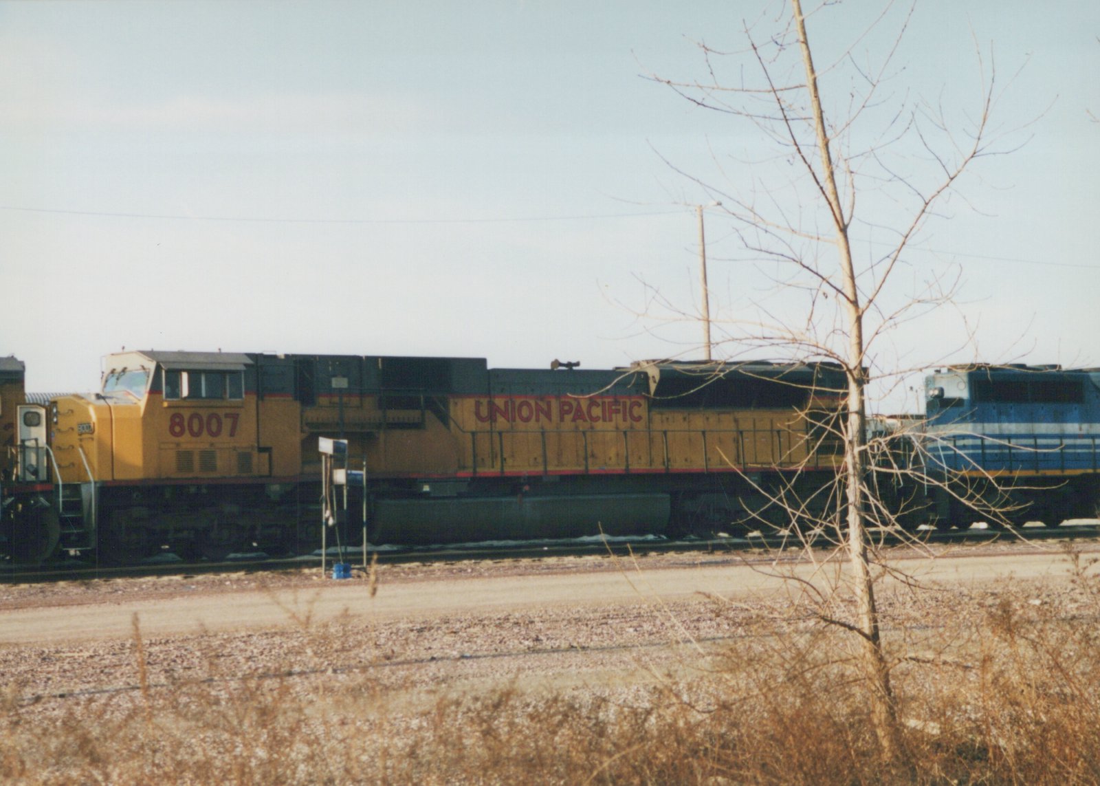 A yellow and black Union Pacific locomotive numbered 8007 is on a railroad track, with a bare tree in the foreground and another blue locomotive visible in the background.