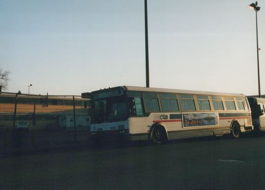 A white CTA bus with red and blue stripes, number 5593, is parked on a street at dusk with 'The 10th Kingdom' ad on its side.
