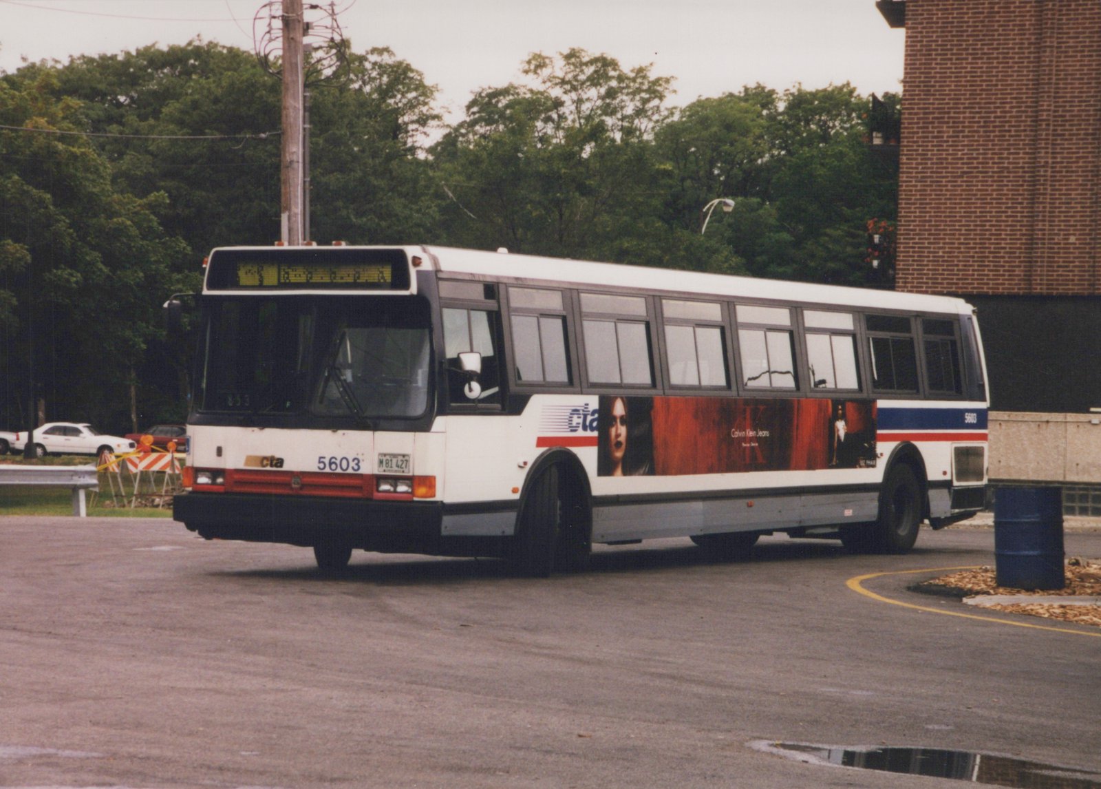 A white CTA bus with blue and red stripes, fleet number 5603, is parked on a wet street with trees and a brick building in the background. The bus has a Calvin Klein Jeans advertisement on its side.