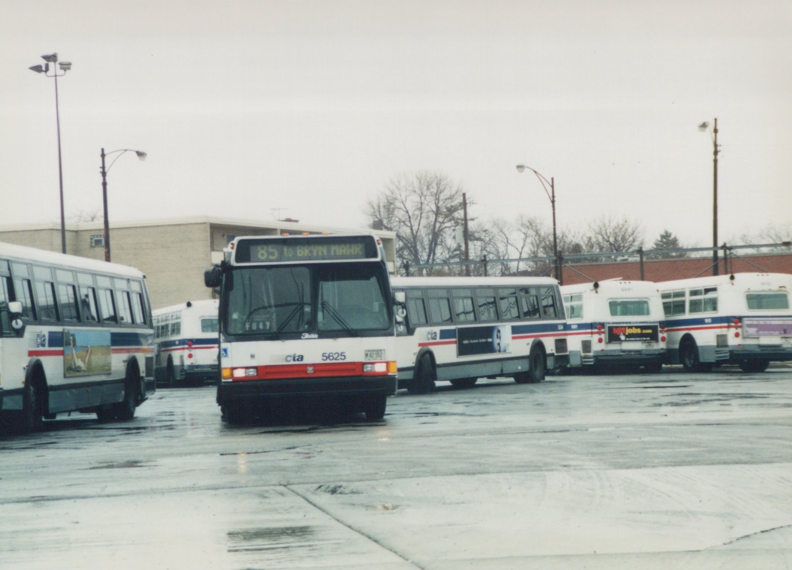 A white Chicago Transit Authority bus with a red and blue stripe, number 5625, is parked in a wet lot with other buses behind it, under an overcast sky.