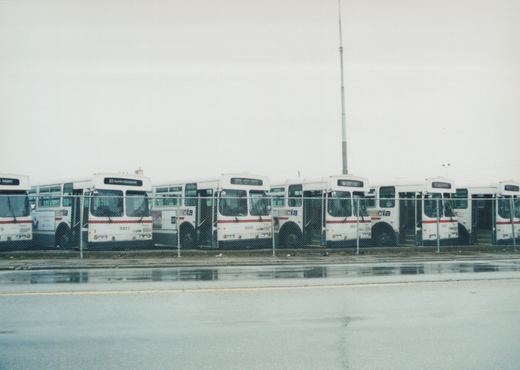 A line of white Chicago Transit Authority buses with red stripes, including bus 9925, parked behind a fence in a wet lot under a grey sky.