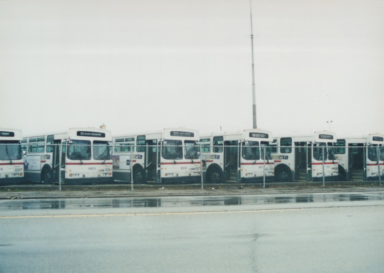 A line of white Chicago Transit Authority buses with red stripes, including bus 9925, parked behind a fence in a wet lot under a grey sky.