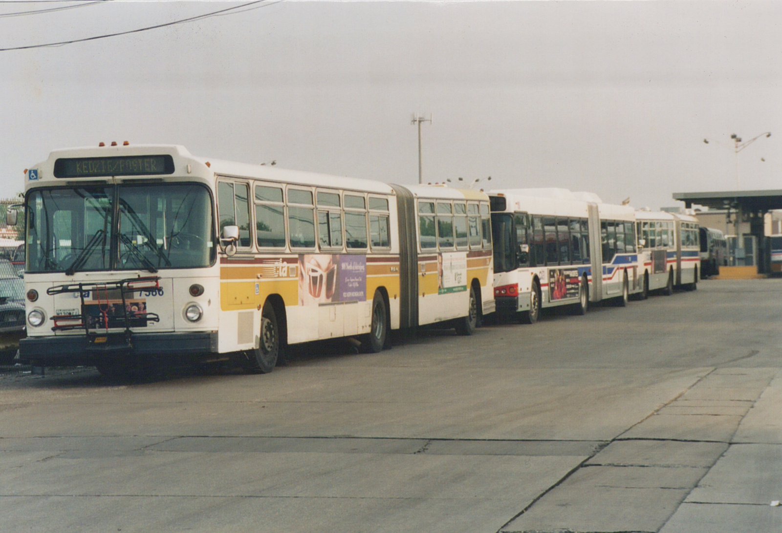 A row of white, yellow, and maroon articulated buses, with the lead bus displaying 'KEDZIE/FOSTER' on its sign and the number 7566 on its front, parked at a bus depot under a gray sky.