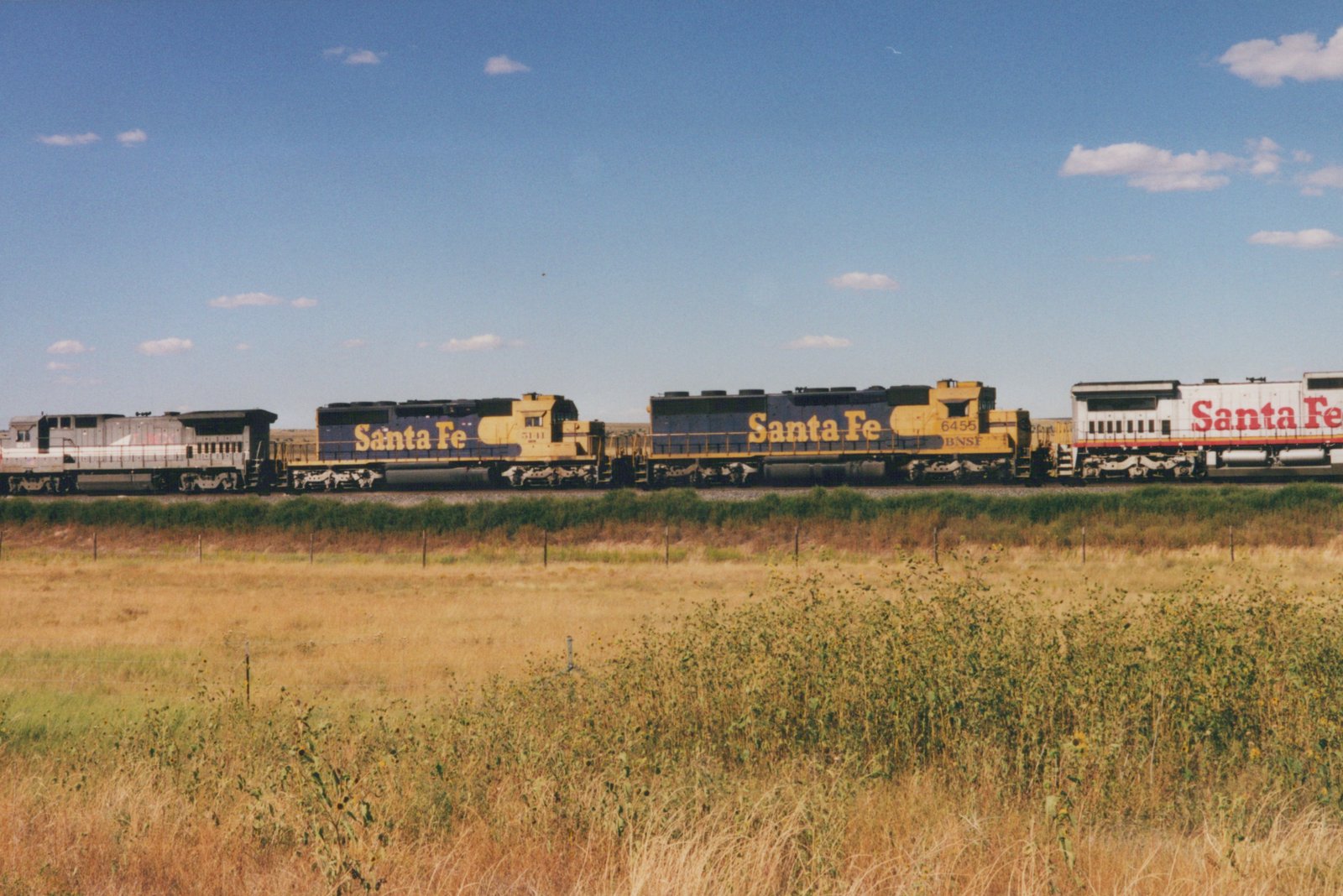 Two blue and yellow BNSF GP38-2 locomotives, numbered 5111 and 6455, pull a white passenger car with red Santa Fe lettering through a field under a clear blue sky.