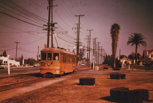 A yellow streetcar with the number 1399 and route 5 sign travels on embedded tracks beside a road with utility poles and palm trees.