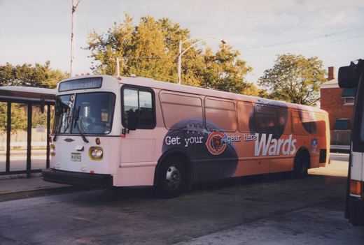 A white Chicago Transit Authority bus numbered 4604 is parked with a large advertisement for Wards and the Chicago Bears on its side, stopped at a bus shelter on a sunny day.