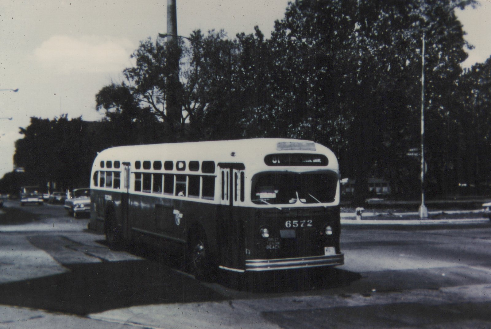 A black and white photo of a Chicago Transit Authority New Look bus, number 6572, on a city street with trees and cars in the background.