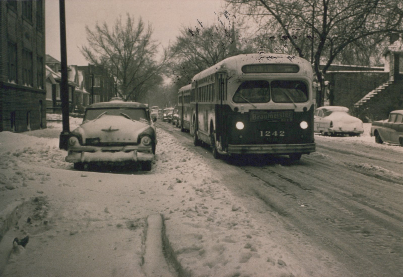 Black and white photo of a line of buses on a snow-covered city street, with one bus in the foreground showing the number 1242 and a Braumeister ad.